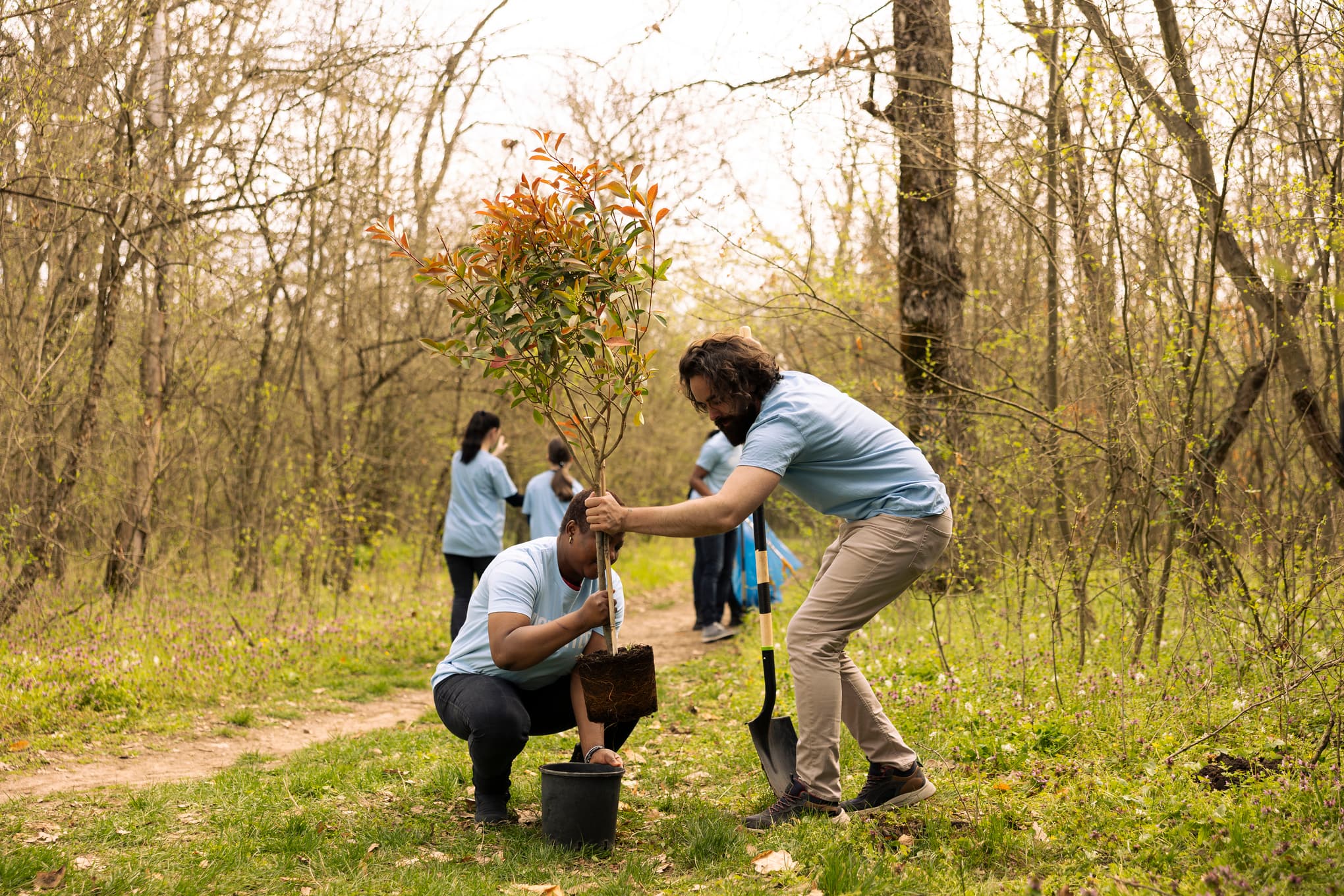 Équipe terrain - Approche participative